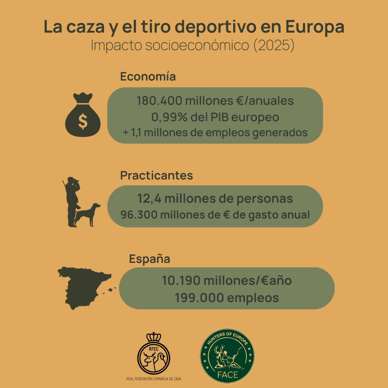 Infografía_resumen_copia.jpeg