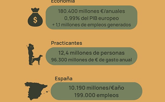 Infografía_resumen_copia.jpeg