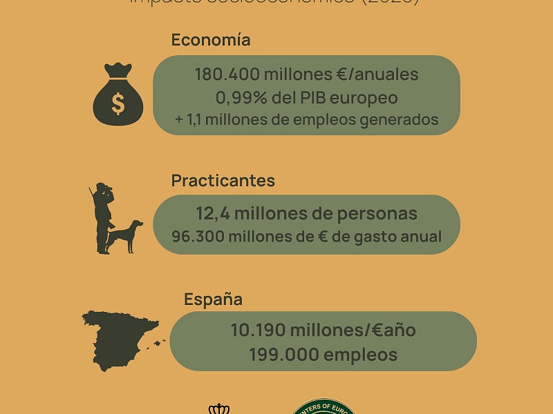 Infografía_resumen_copia.jpeg