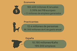 Infografía_resumen_copia.jpeg