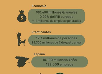 Infografía_resumen_copia.jpeg