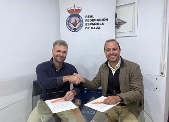 ACUERDO_RFEC_LEGADOS.jpeg